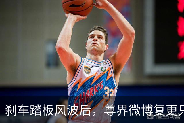 刹车踏板风波后，尊界微博复更只发了组图