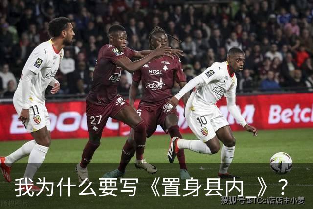 我为什么要写《置身县内 》？