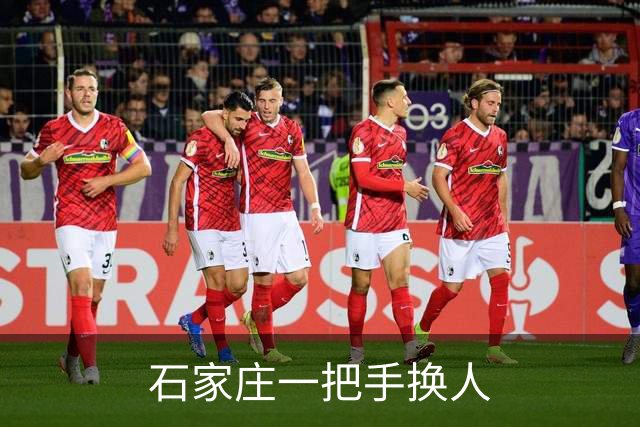 石家庄一把手换人