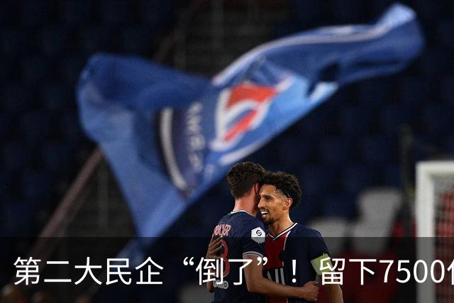 第二大民企“倒了”！留下7500亿债务窟窿，创始人被抓股权清零